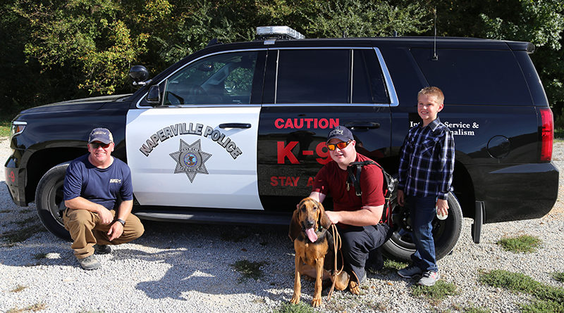 Naperville Police Department Bloodhound Team Find Hit and Run Suspect.