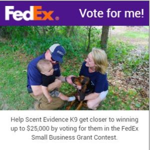 FedEx Small Business Contest Voting Badge