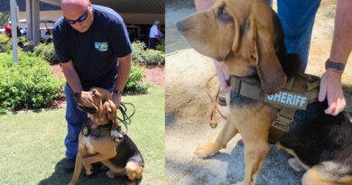 Liberty County Bloodhound Finds Missing Juvenile and Fleeing Suspect