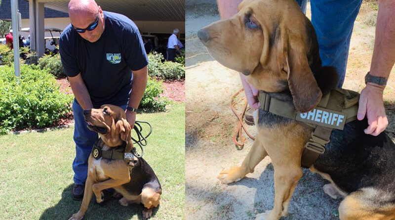 Liberty County Bloodhound Finds Missing Juvenile and Fleeing Suspect