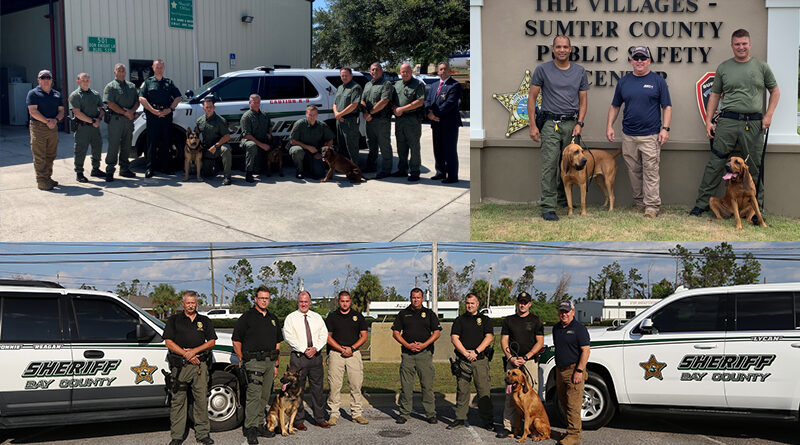 Scent Discriminate K9 Training Increases Search Capabilities For 3 Florida Counties