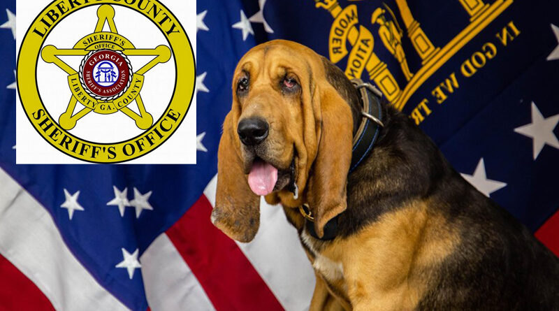 Liberty County Bloodhound Locates Armed Robbery Suspect
