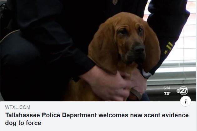 WTXL TPD Gets New Bloodhound