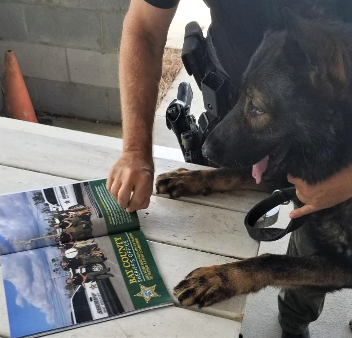 BCSO K9 Ronnie and his handler Cpl. Jeff Duggins are checking out the most recent edition of Police K9 magazine. They're reading a feature about the BCSO K9 Unit and it's recent training on Scent Discriminate K9 Trailing.