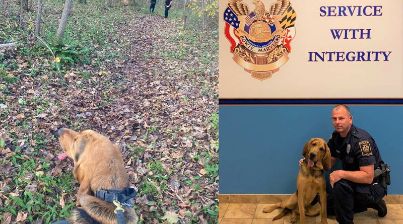 Bowie PD K9 Team Find Missing Suicidal Girl