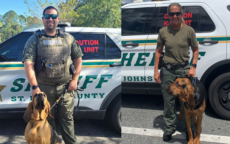 St. Johns County Sheriff's Office Bloodhound Teams Find Missing Adult with Autism and Confirm Suspect Trail