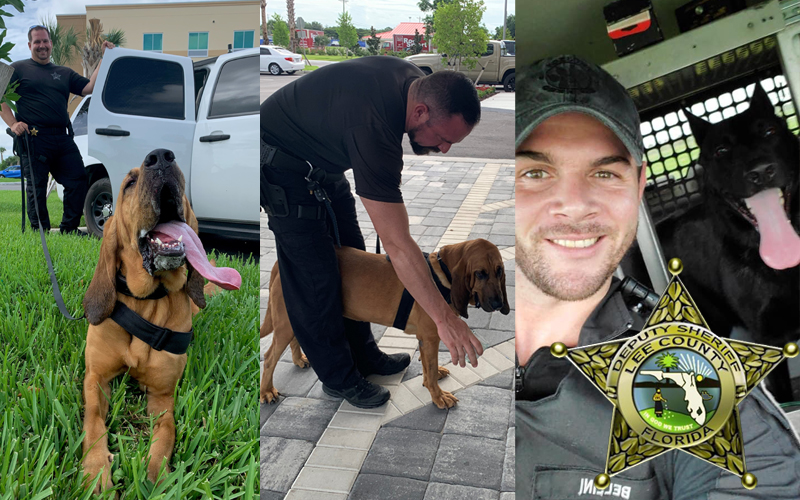 Lee County Sherriff's Office K9 Units Find Success