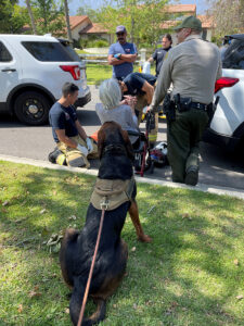 San Bernardino County Bloodhound Team Finds Missing 100-Year-Old Woman