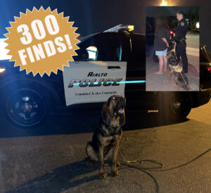 California Bloodhound Team Reaches 300th Scent Evidence K9 Partner Find Milestone