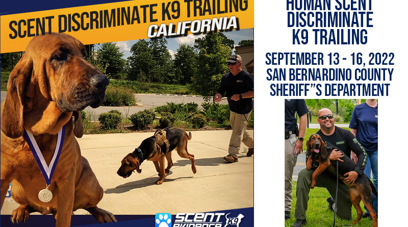 Scent Discriminate K9 Training San Bernardino County SO 2022