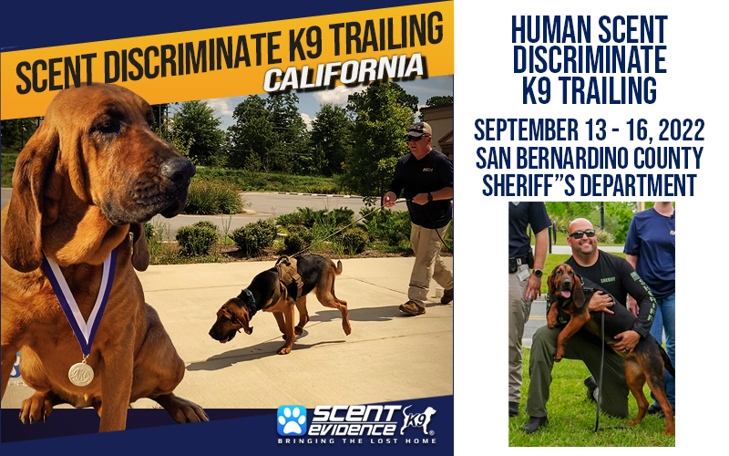 Scent Discriminate K9 Training San Bernardino County SO 2022