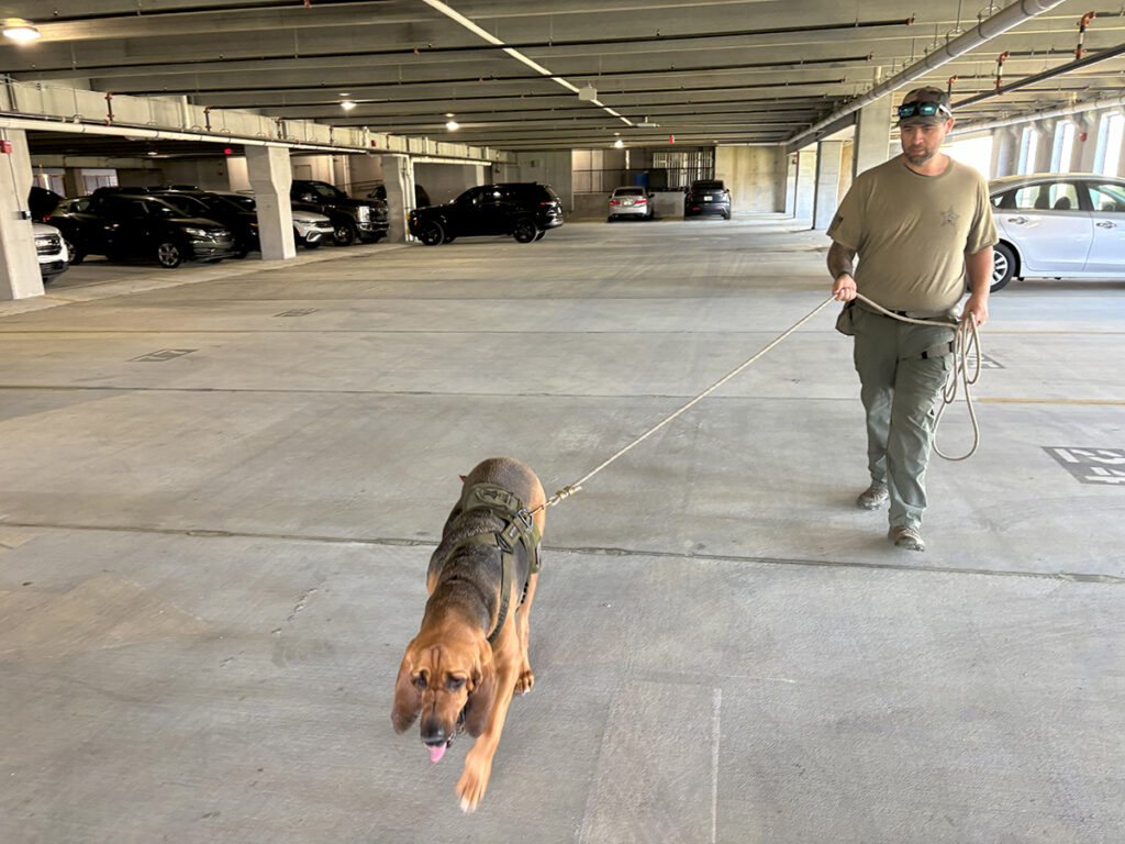 Fourth Annual Bringing The Lost Home Summit Hosts Top Florida K9 Search Teams For Advanced Missing Person Response Training
