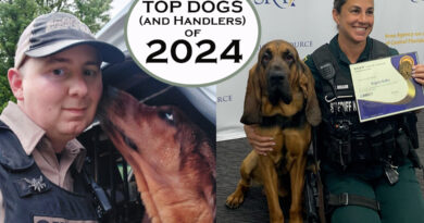 Scent Evidence K9 TOP DOGS (and Handlers) of 2024!