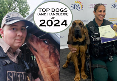 Scent Evidence K9 TOP DOGS (and Handlers) of 2024!