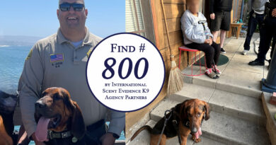 California Bloodhound Team Reaches 800th Scent Discriminate K9 Find