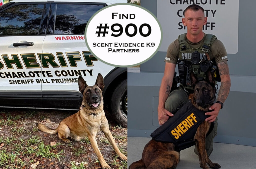 Charlotte County Sheriff's Office K9 Handlers Scent Evidence K9 Partners Reach 900 Find Milestone!