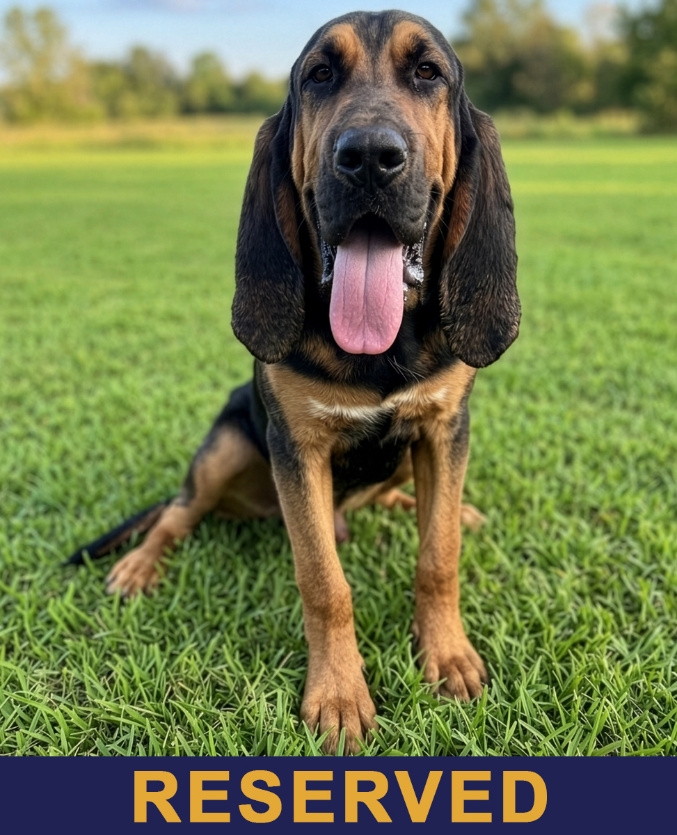 Buford