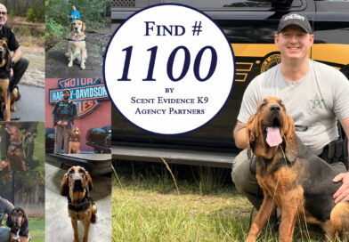 Find #1100 for Scent Evidence K9 Partners