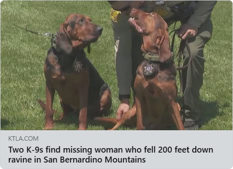 san Bernardino County Sheriff's Dept K9 Keva and K9 Naji